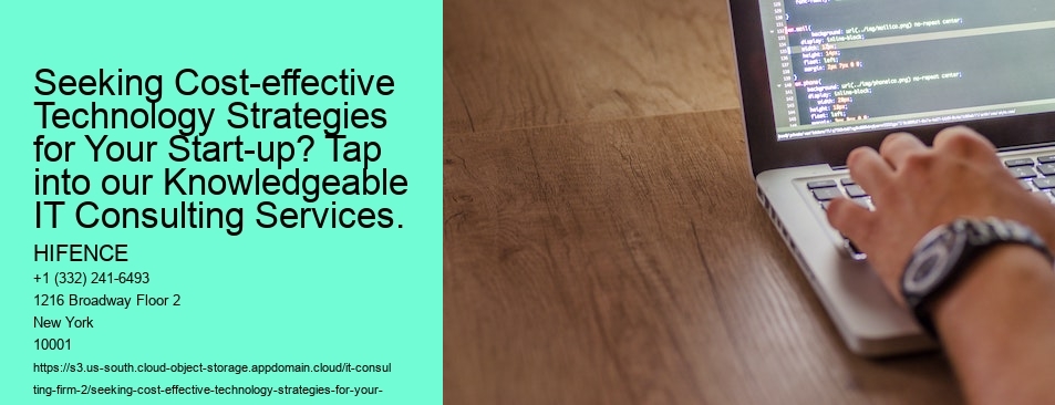 Seeking Cost-effective Technology Strategies for Your Start-up? Tap into our Knowledgeable IT Consulting Services.